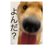 773892715