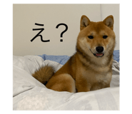 773892716
