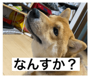 773892717