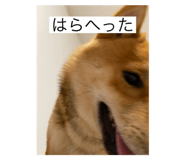 773892718