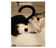 773892871