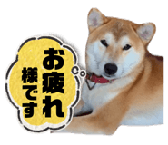 773893715