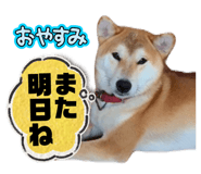 773893716
