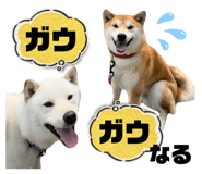 773893726