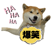 773893740