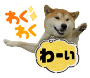 773893741
