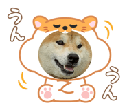 773893742