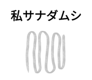 773894429