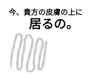 773894430