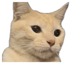773895546