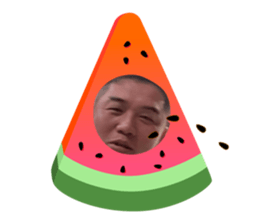 773897431