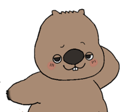 773899051