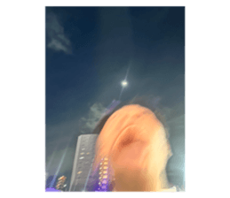773905471