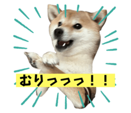 773906048