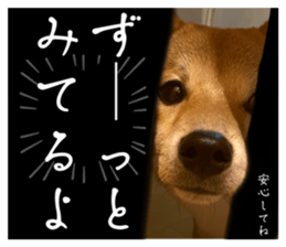 773906064