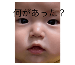 773906547
