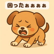 773910376