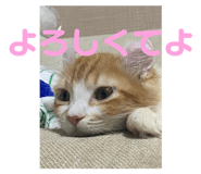 773913109