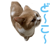 773913113