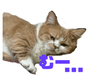 773913115