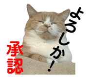 773913116