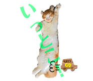 773913119