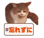 773913122