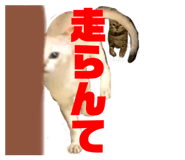 773913123