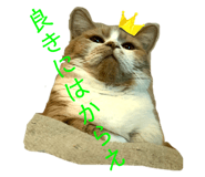 773913125
