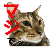 773913134