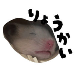 773916699