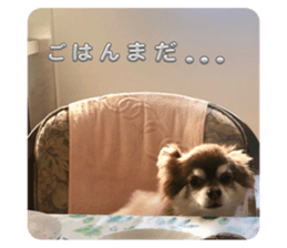 773917295