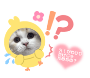 773926325