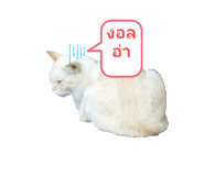 773933305