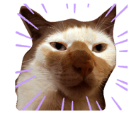 773933307