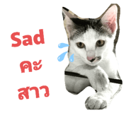 773933312