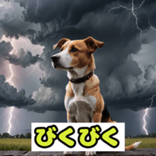 773945474