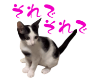 773951311