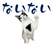 773951317