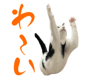 773951325