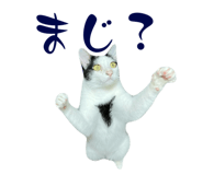773951328