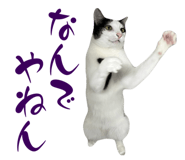773951329