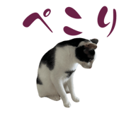 773951332