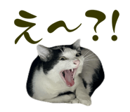773951340