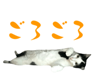 773951344