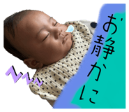 773951584