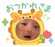 773951586