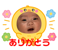 773951606