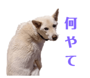 773953743