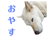 773953745